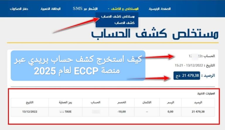 كيف استخرج كشف حساب بريدي عبر منصة ECCP لعام 2025